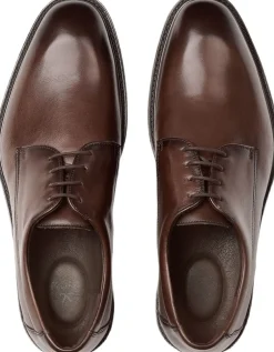 X-MOTION 110-Lloyd Clearance