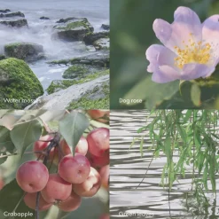ØY Scent Diffuser 100ml-Skandinavisk Clearance