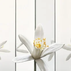 MYSLF Eau de Parfum-Yves Saint Laurent Best